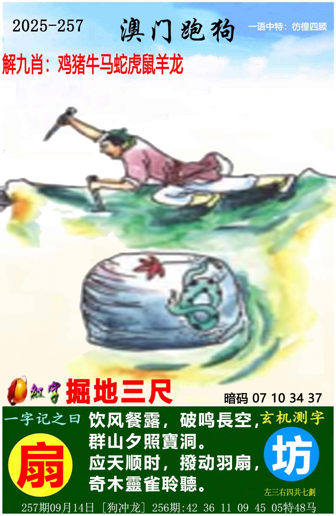 澳门跑狗
